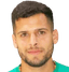 F. Torres player photo
