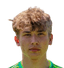 Artur Sakarias player photo