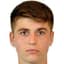 Radu Birzan player photo