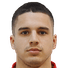 Petar Ćirković player photo