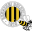 Bronshoj U21 logo