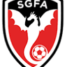St George City FA logo