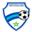 CNEPS Excellence logo