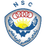 Al Nasr Cairo logo