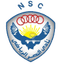 Al Nasr Cairo logo