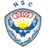 Al Nasr Cairo logo