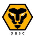 Dwivedi Brothers logo - Brothers VS Income Tax Sc Live Score Today
