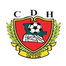 Desportivo Huila logo