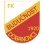 FK Buducnost Dobanovci logo