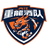 Neijiang Team logo