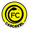 Cascavel PR logo - Pr VS Grmio Rs Live Score Today