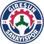 Giresun Sanayispor Women logo