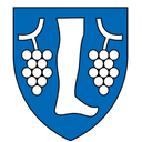Bosonohy logo - Bosonohy VS Bystrc Kninicky Result Today