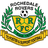 Rochedale Rovers logo