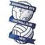 Birmingham Women logo - Eng Fa Wsl 31859 Live