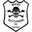 Bucks Bucaneers logo