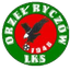 Orzel Ryczow logo