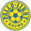 P-Iirot logo