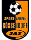 SV Gossendorf II logo