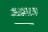 Saudi Arabia Women U17 logo