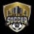 City Soccer FC logo - Npsl 32955 Live Result