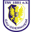 TSV 1881 Gau-Odernheim logo