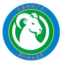 Dangxiang Village logo - Village VS Dangxiang Village Score