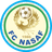 Nasaf Qarshi logo