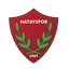 Hatayspor U19 logo
