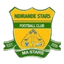 Ndirande Stars logo