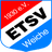 Flensburg 08 logo
