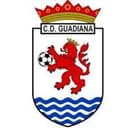 CD Guadiana logo - Guadiana VS Rcp Valverdeno Live Score