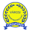 Tiszafured VSE logo