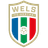 FC HOGO Hertha Wels logo