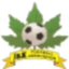 Jammu  Kashmir Women logo