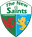 The New Saints logo