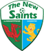 The New Saints logo