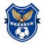 Tianjin Pengcheng U15 logo