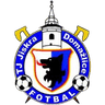Domazlice logo