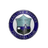 Carluke Rovers FC logo