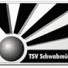 TSV Schwabmünchen logo - Schwabmnchen VS Ssv Ulm Live
