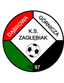Zaglebiak Dabrowa logo