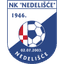 NK Nedelisce logo