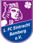 Eintracht Bamberg logo