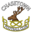 Chasetown logo
