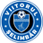 ACS Viitorul Selimbar logo
