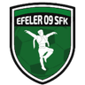 Efeler 09 logo