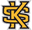 Kennesaw State Owls(w) logo