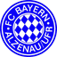 Bayern Alzenau logo