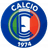 Calcio Leinfelden-Echterdingen logo